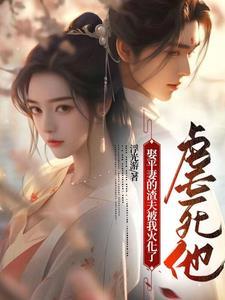 娶了平妻夫人改嫁了