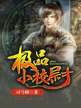 极品小县令正版官网