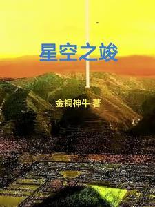 星空之恋1攻略大全