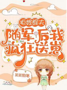 随军后我疯狂送崽晋江