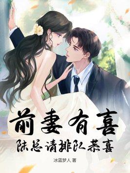 前妻有喜了全文免费阅读全文