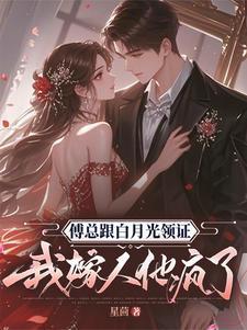 傅总跟白月光领证我嫁人他疯了短剧免费观看