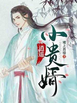 逍遥小贵婿大皇子是谁