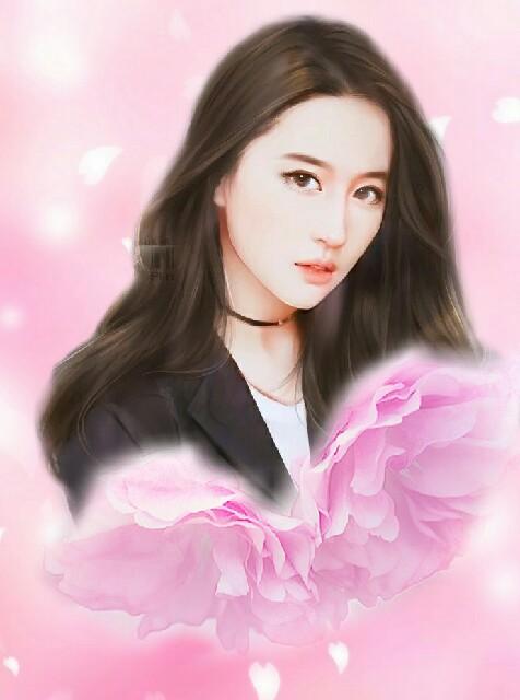 江斐韩昭昭全文免费阅读