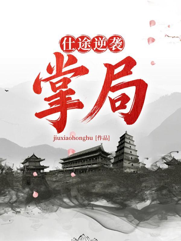 仕途崛起之路免费阅读