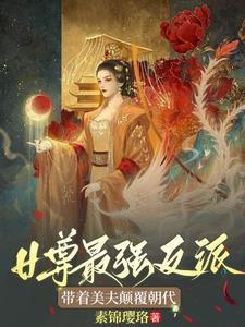 穿越成纨绔王爷女尊文